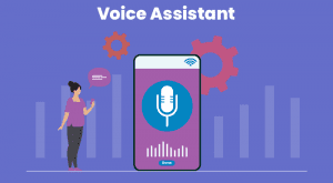 voice assistant