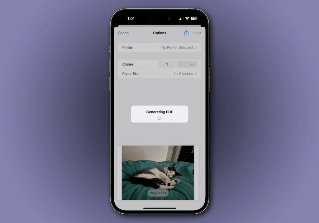 Picture To PDF in iPhone