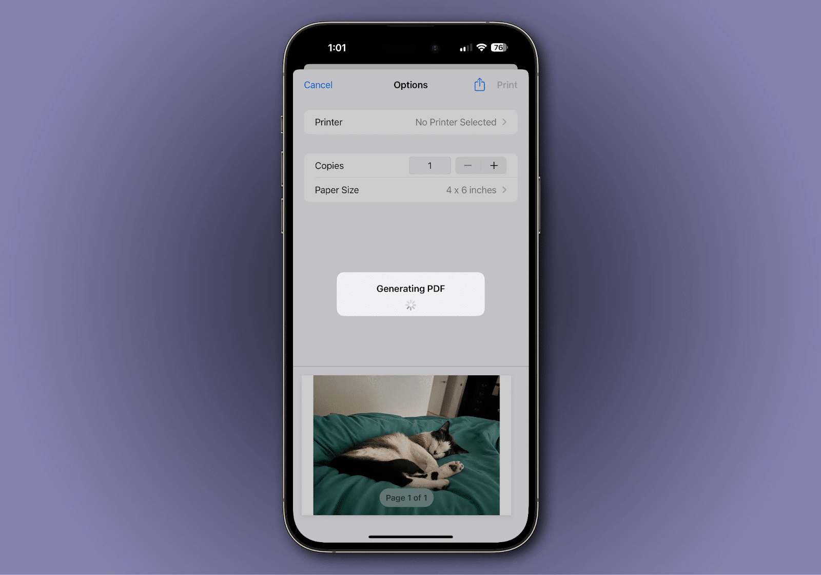 Picture To PDF in iPhone