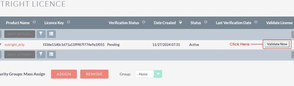Validate Button