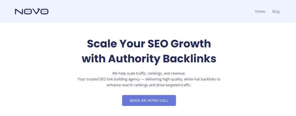 White Hat Link Building company Novo homepage banner highlighting SEO growth and authority backlinks.