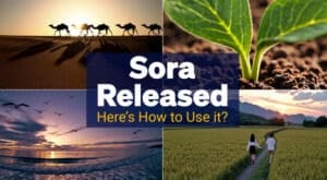 Sora Released