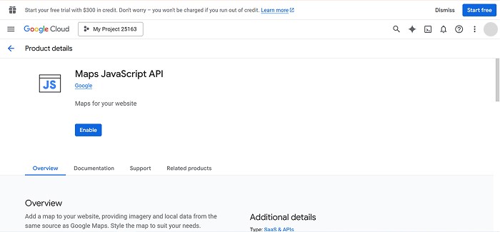 Google Maps API