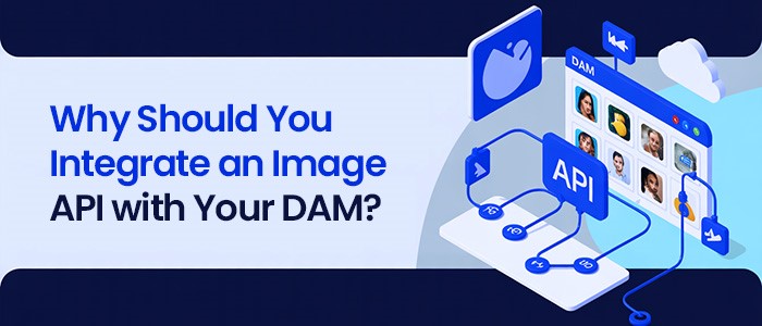 Why Should You Integrate an Image API with Your DAM?