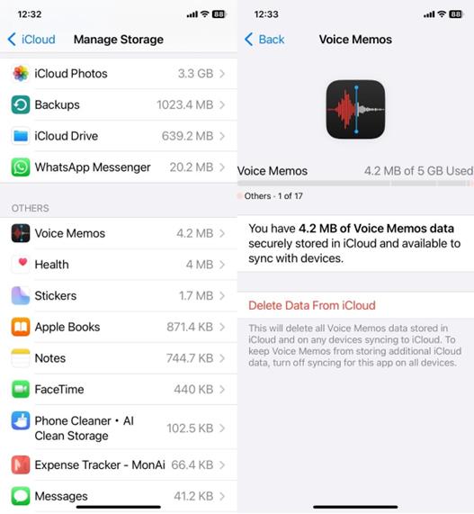 Manage iCloud Storage