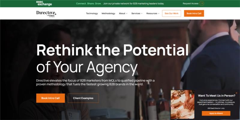 Directive Consulting