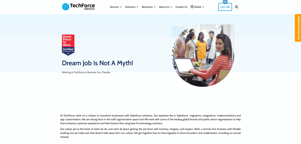 Tech Force Services